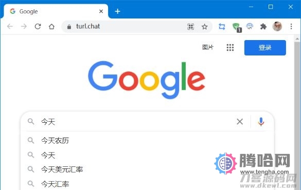 Any-Proxy在线反向代理源码插图