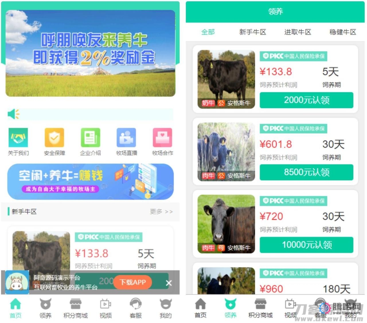 【牧场养牛】带积分商城+抽奖+会员特权 区块源码插图(1)